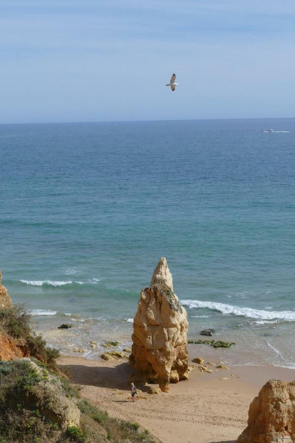 Praia Da Rocha, Algarve Sunny Apartment Портиман Экстерьер фото
